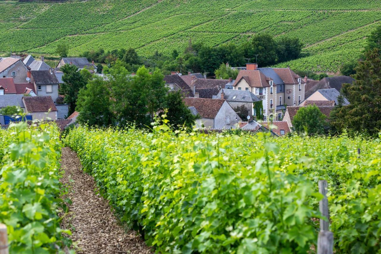 Hotel Restaurant Famille Bourgeois "La Cote Des Monts Damnes" Sancerre Exteriér fotografie